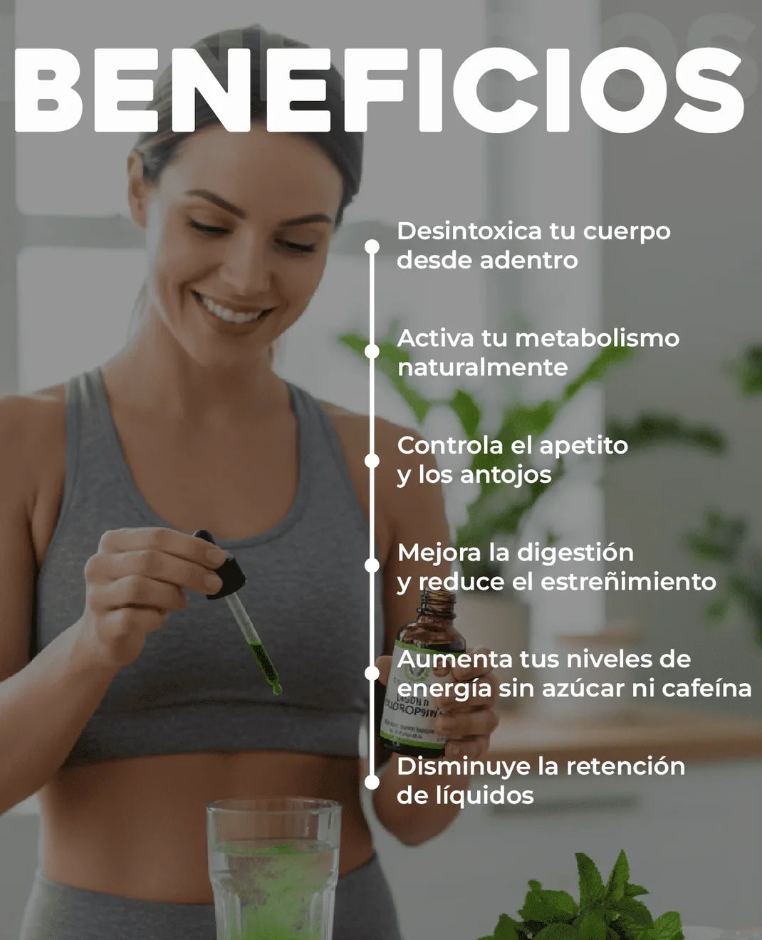 Clorofila en líquido ✅