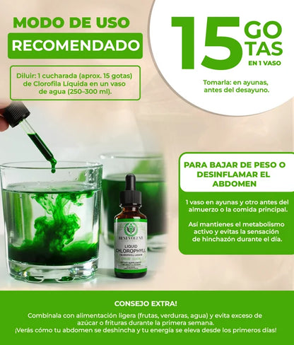 Clorofila en líquido ✅