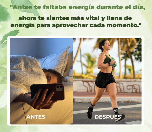 Clorofila en líquido ✅