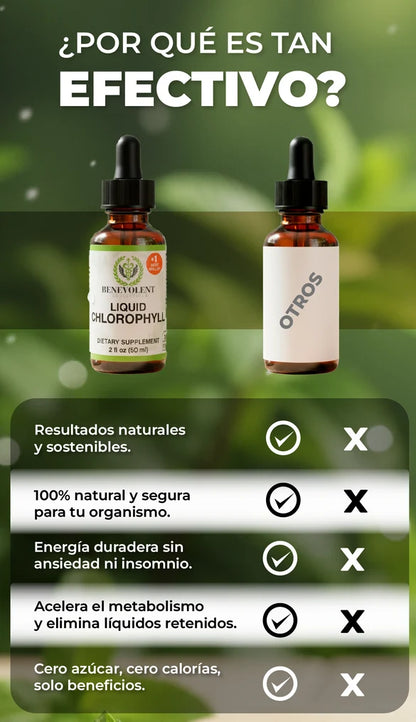 Clorofila en líquido ✅